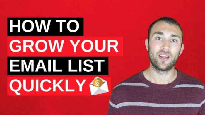 How to Grow Your Email List by 500 Subscribers in 30 Days