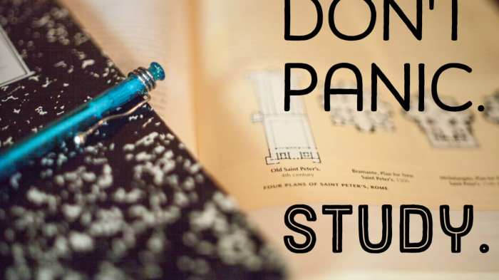 How to Study for a Big Exam in Just 2 Weeks