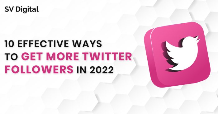 How to Get More Followers on Twitter in 7 Days