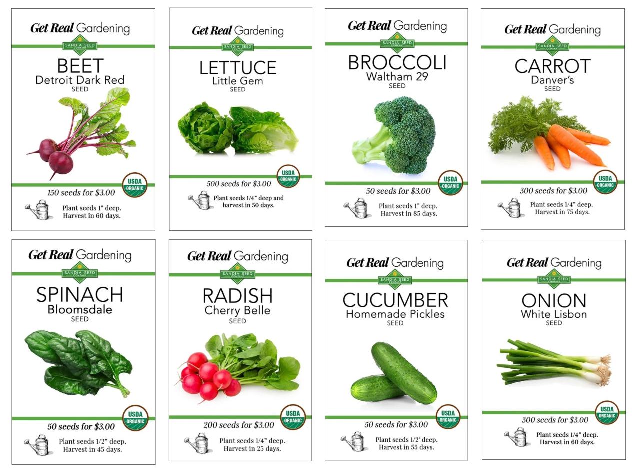 Plants beginner plant seeds seed mint grow vegetables garden easy veggie planting easiest growing starter veggies au australian starting patch Plants beginner plant seeds seed mint grow vegetables garden easy veggie planting easiest growing starter veggies au australian starting patch