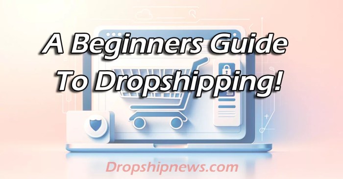 How to Start a Dropshipping Business in 14 Days
