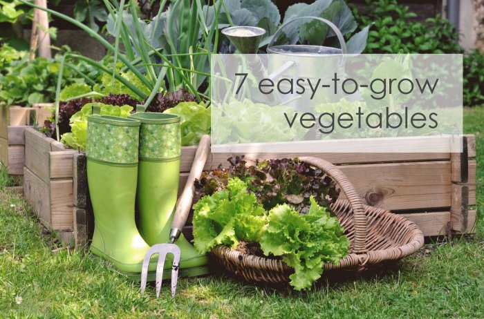 Grow vegetables easy veggies gardening simple scraps starting arctic ca blog Grow vegetables easy veggies gardening simple scraps starting arctic ca blog