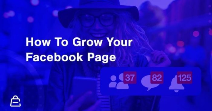 How to Grow Your Facebook Page in 14 Days