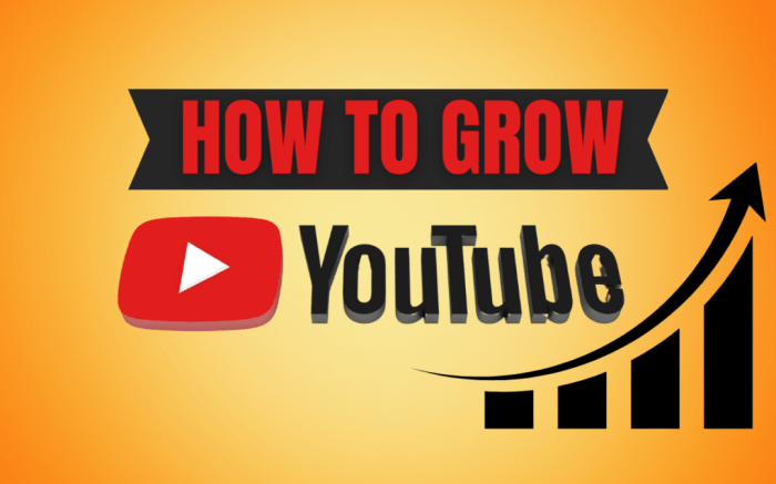 Grow channel subscribers Grow channel subscribers