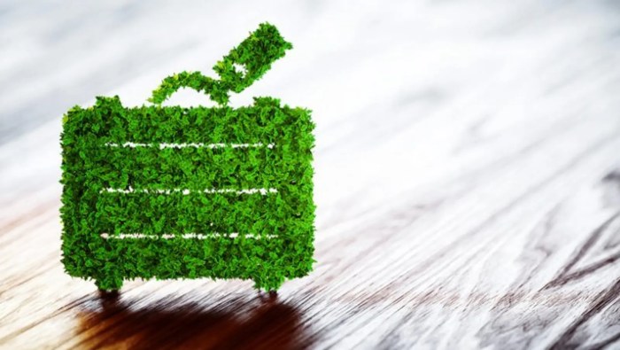 Travel eco friendly ways easy Travel eco friendly ways easy