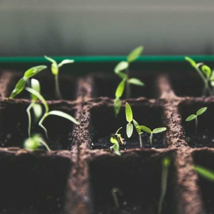 How to Grow Your Freelance Business in 6 Months