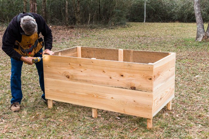 How to Build a Raised Garden Bed: 8 Steps to Creating a Productive Garden