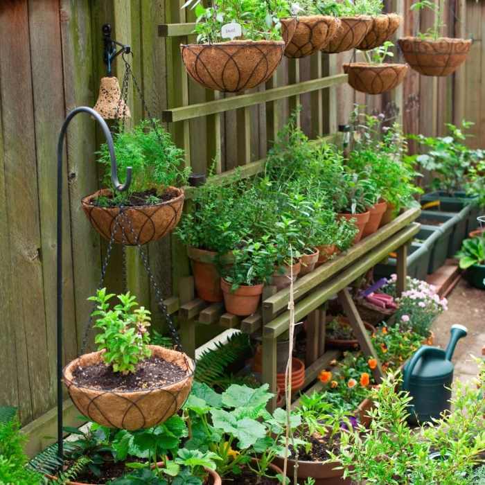 Garden vegetable backyard ideas gardens gardening modern article design beginners veg potager fruit kids Garden vegetable backyard ideas gardens gardening modern article design beginners veg potager fruit kids