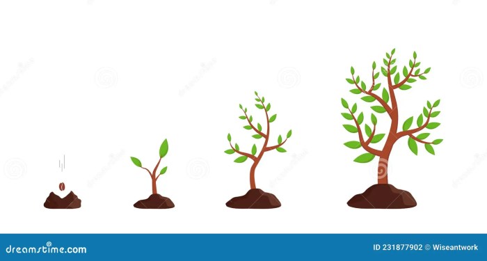 How to Start a Seedling: 5 Steps to Successful Seed Germination