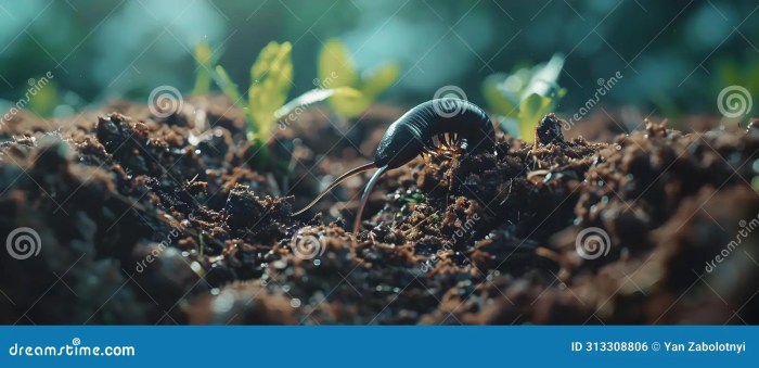 How to Compost: 5 Steps to Creating Nutrient-Rich Soil