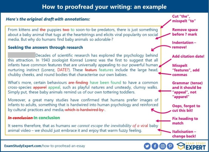 Paragraph marks editing manuscript proofreader writing skills enhancing following shows