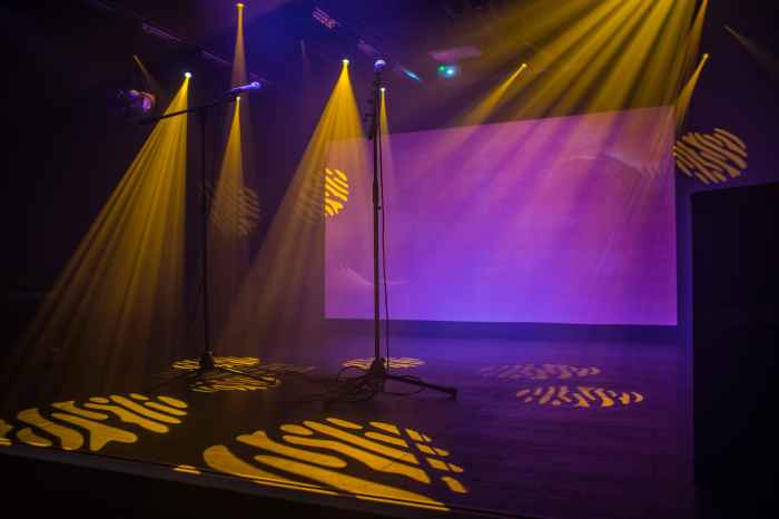 Presence bold stage create convincing comfortable confident speaking public