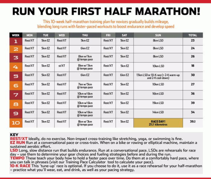 How to Run a Marathon: 10 Training Tips for Beginners